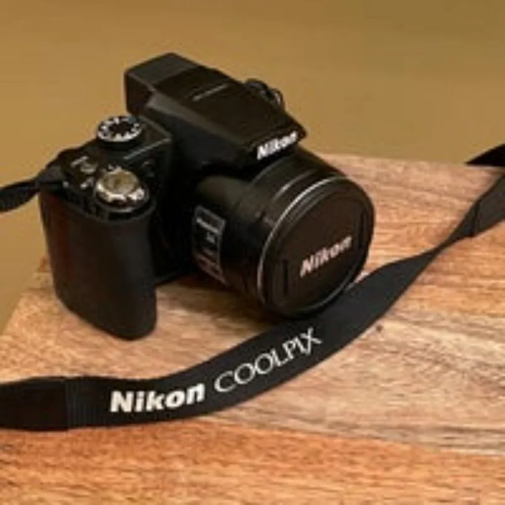 Nikon Coolpix P90 12.1MP Black Bridge Digital Camera